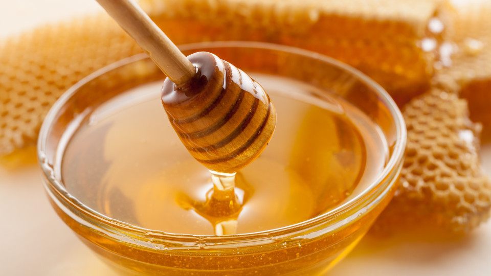 Descendente de apicultores investiga capacidades antioxidante do mel