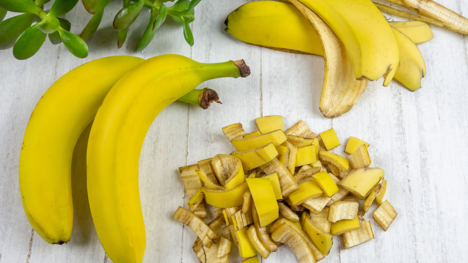 Sim, ponha à confiança cascas de banana nas plantas