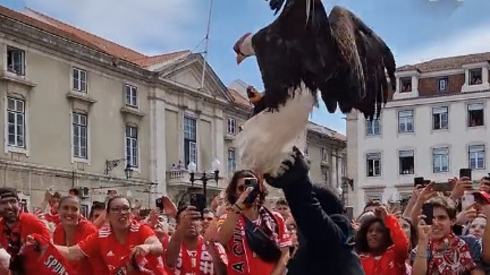 Benfica foi recebido na CM de Lisboa e nem a águia Vitória faltou