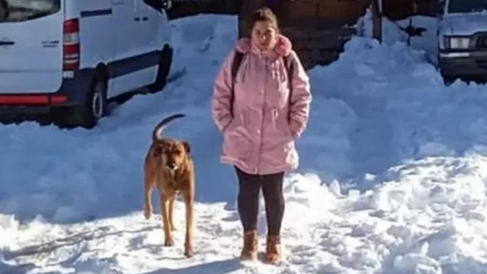 Pampero, o cão que espera pela dona fora do trabalho no frio da Patagónia