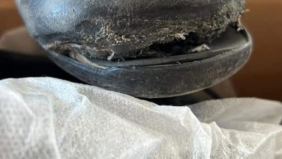 Professora compra sapatos novos a aluno no México. "Destes não vão falar"