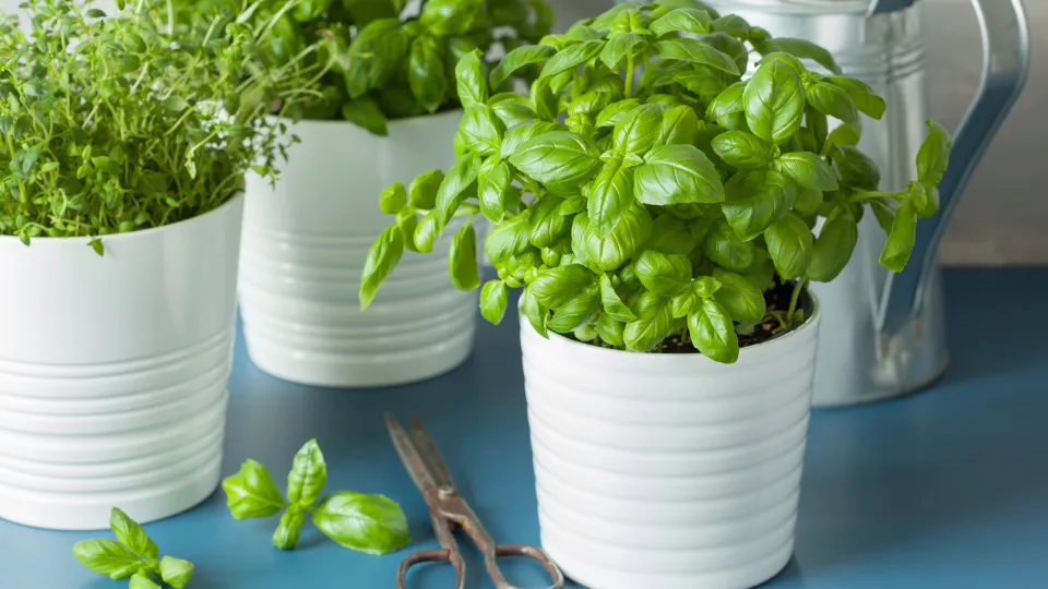 As suas receitas vão ficar bem mais saudáveis ao fazer estas trocas