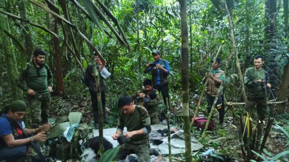 Colômbia. "Natureza guerreira" de jovem de 13 anos salvou irmãos na selva