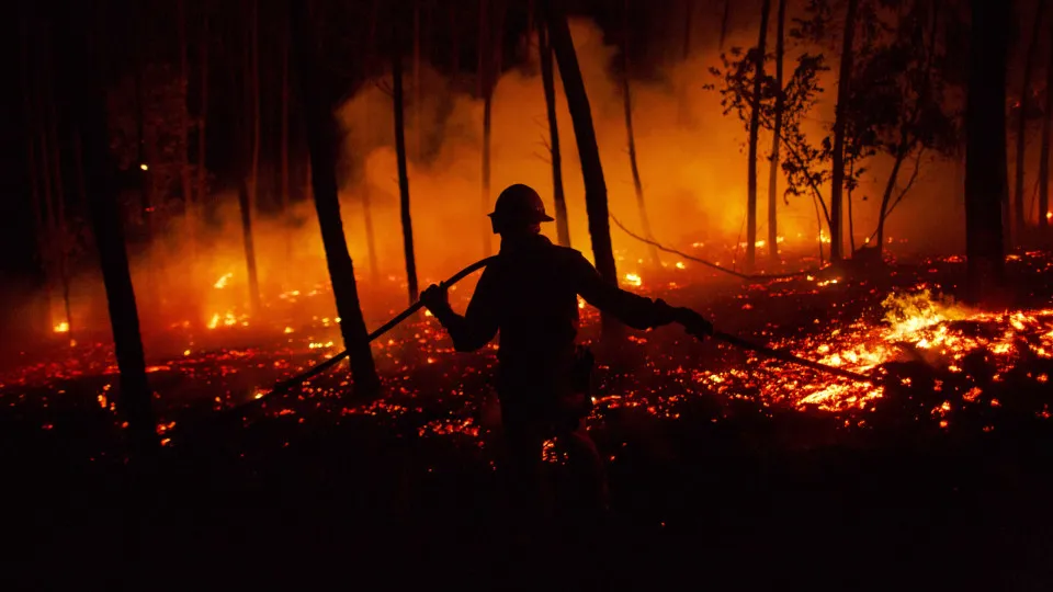 Pedrogão Grande incêndios