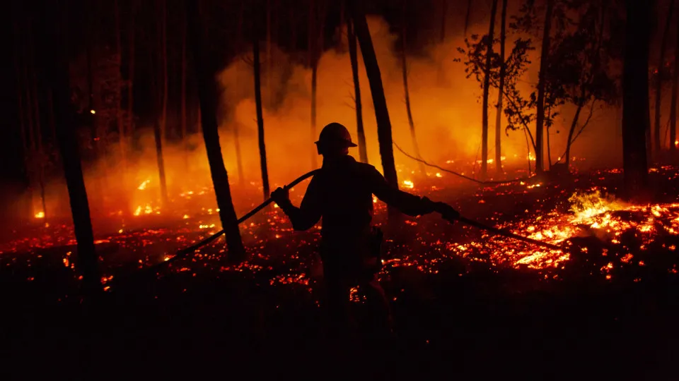 Pedrogão Grande incêndios