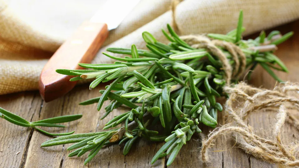 A erva aromática que faz maravilhas pelo seu cabelo