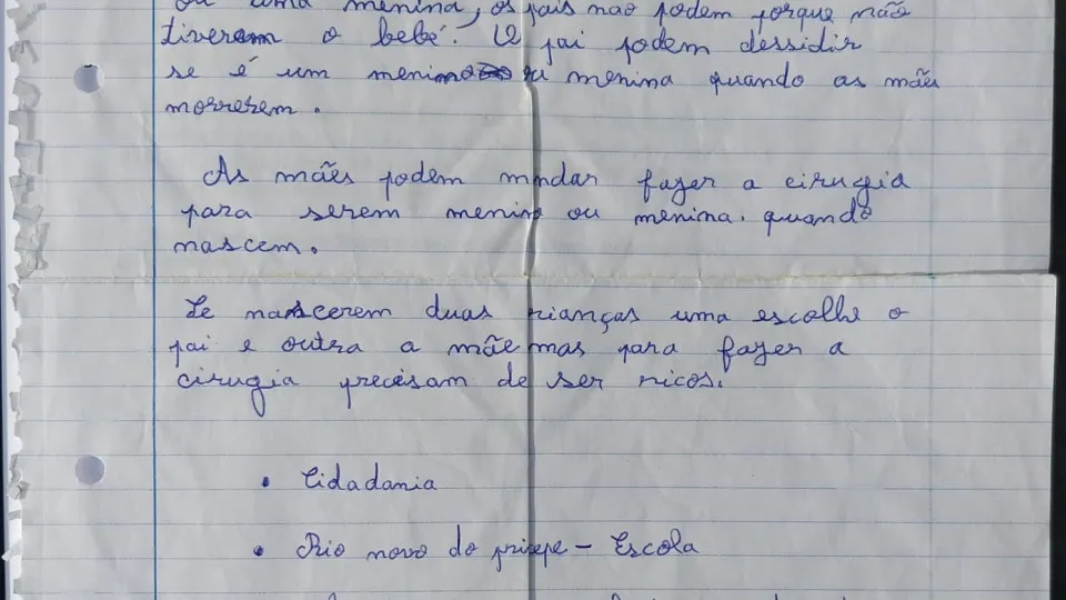 "Tudo FALSO". Escola nega que carta polémica seja da autoria de aluno