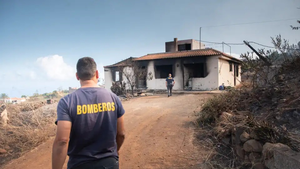 Incêndio de La Palma pode ter tido origem na queima de um contentor