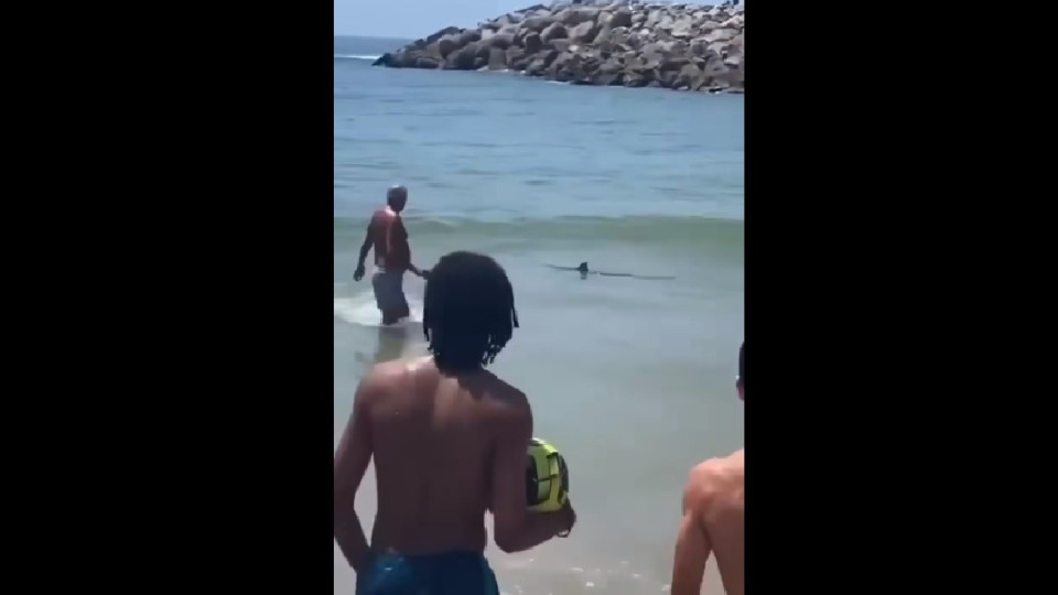 Banhistas avistam tubarão em praia de Espinho. Eis o vídeo
