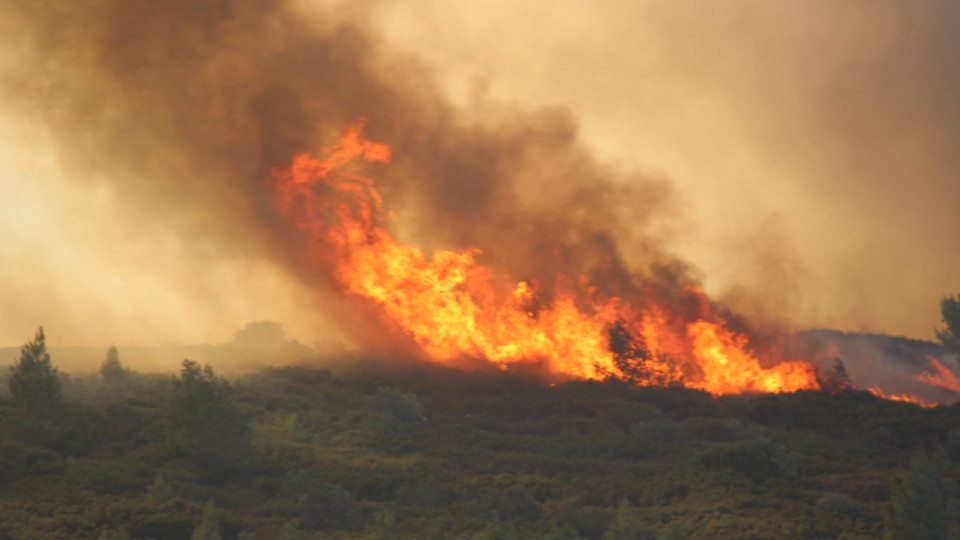 Incêndio. Evacuada localidade de Zambujeiro no concelho de Cascais