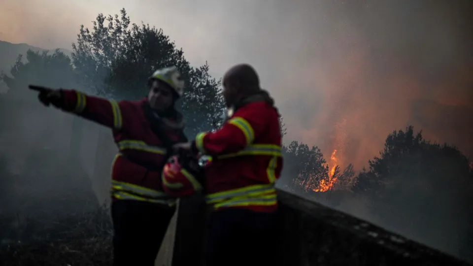 Bombeiros feridos em incêndio em Cascais "recuperados e no ativo"