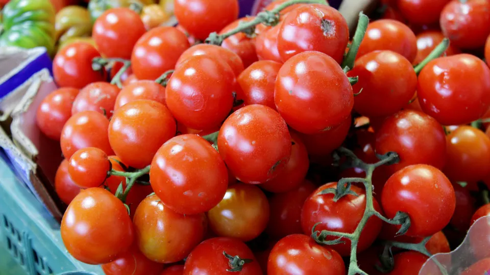 Surto de salmonela causado por tomate cherry já fez um morto