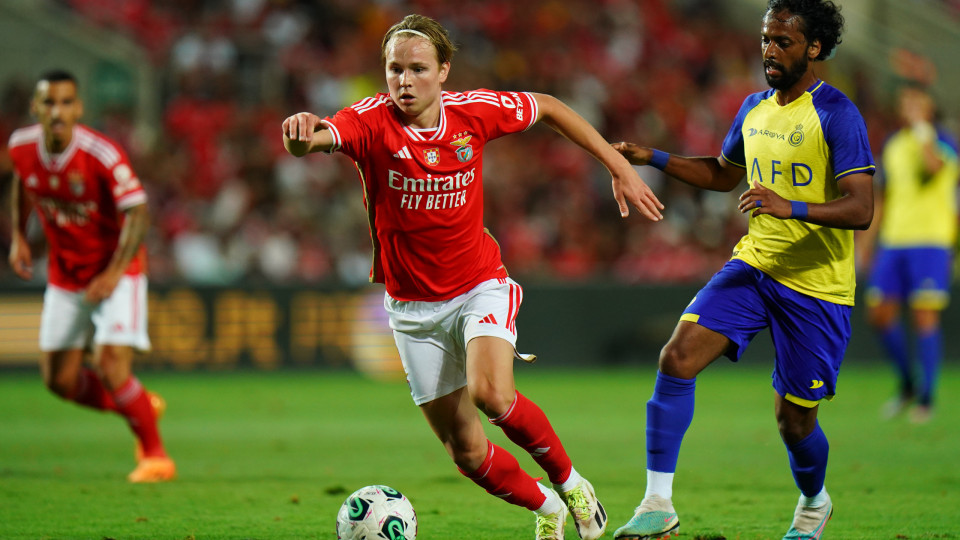 "Benfica can still expect great things from Schjelderup"