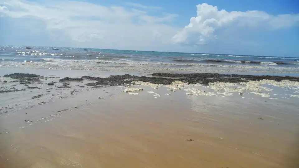 Após chuva intensa, três praias em Albufeira estão interditadas a banhos