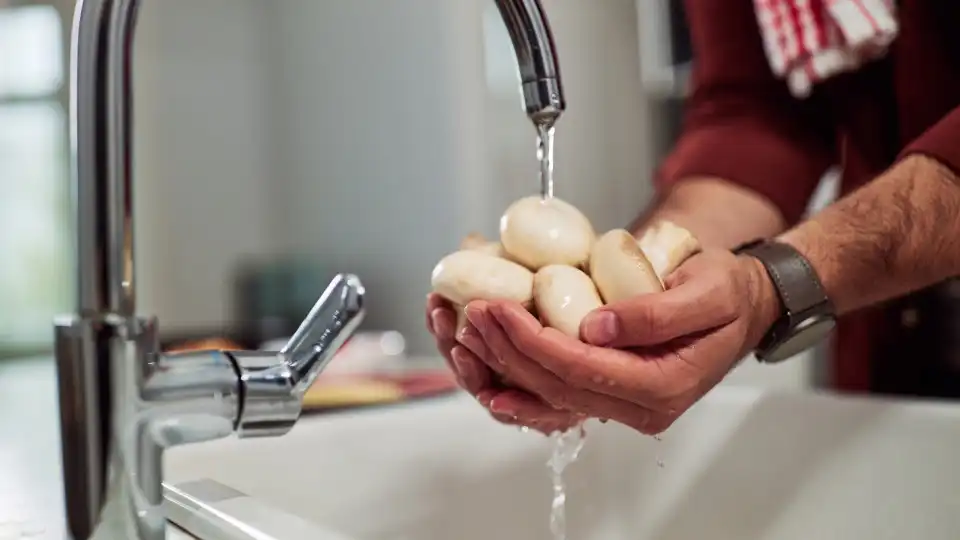 Experimente guardar os cogumelos assim (duram mais tempo) 