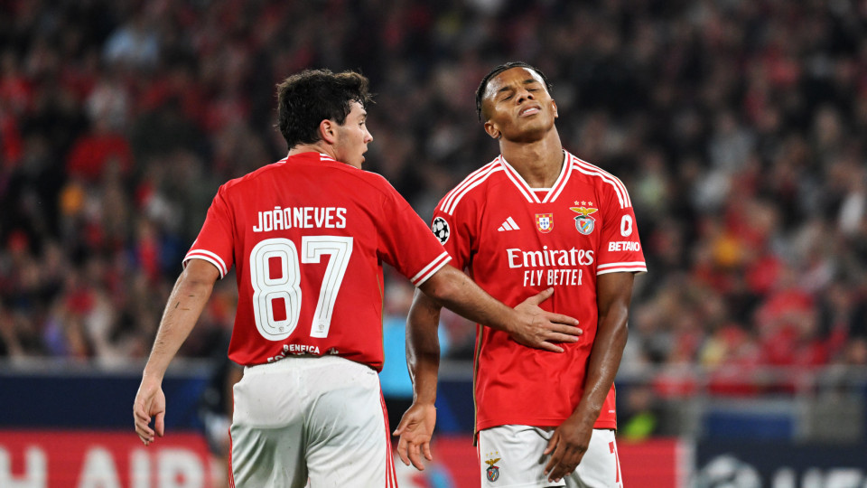 Liga: Benfica e Sp. Braga dominam equipa da 30.ª jornada - TVI