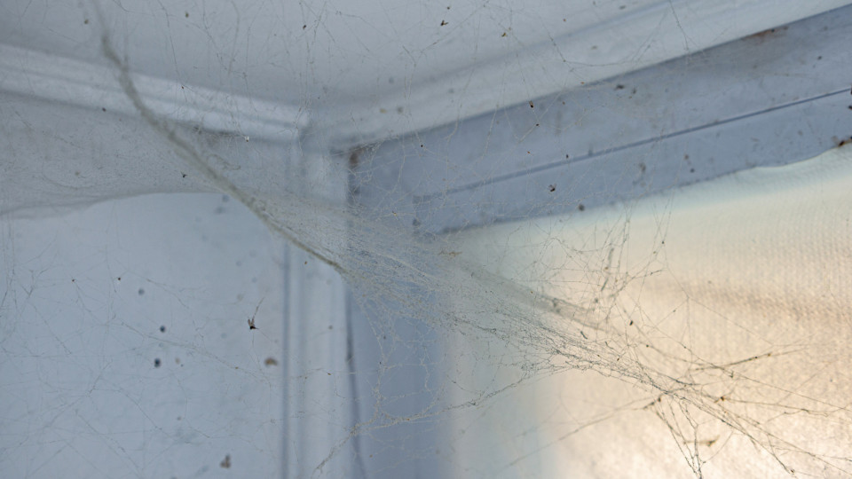 Agora já vai conseguir limpar as teias de aranha no teto