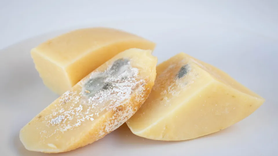 O leitor perguntou: Se retirar a parte com bolor, posso comer o queijo?