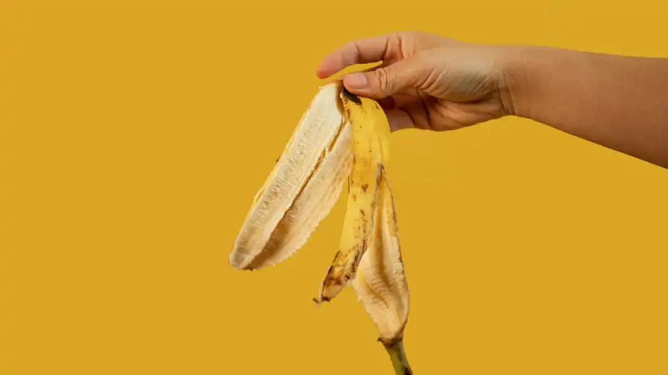 Nunca mais desperdice cascas de banana. São preciosas para as plantas