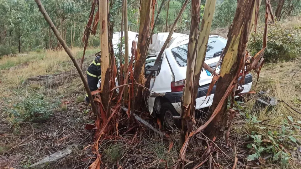 Jovem de 18 anos gravemente ferido em despiste em Arouca