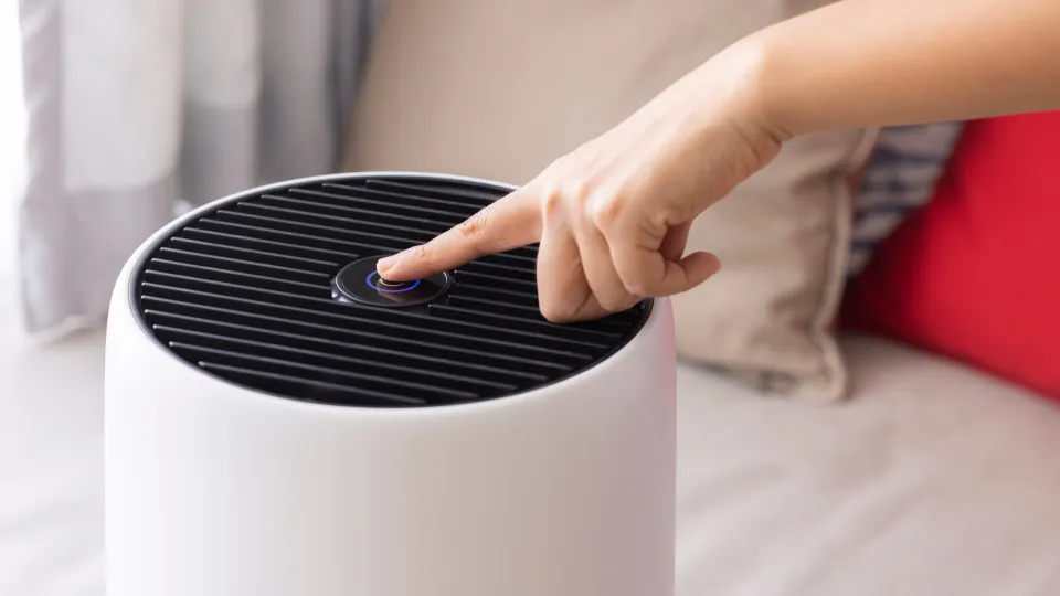 Faz mal dormir com o desumidificador ligado? Especialistas respondem