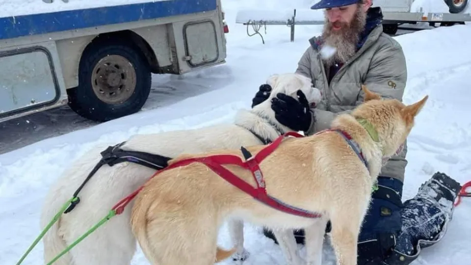 Três cães morrem em colisão com máquina de neve no Alasca