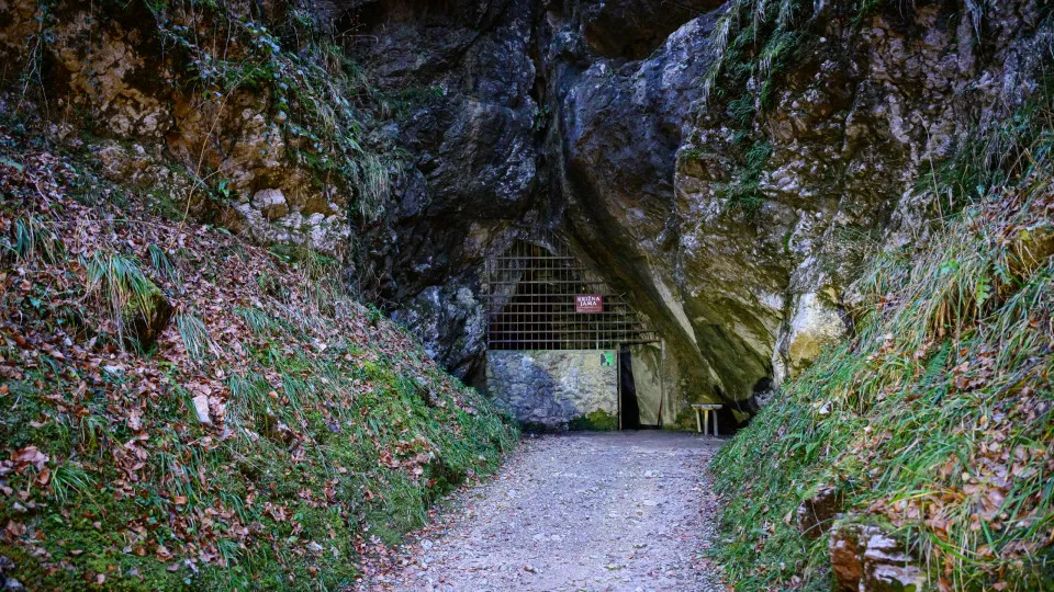 Resgate com sucesso de cinco pessoas de gruta na Eslovénia