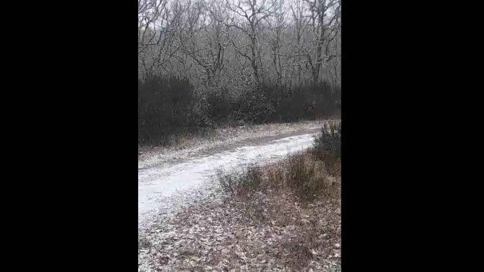 Cai neve a norte de Portugal (e não há sol no meu país). Eis as imagens