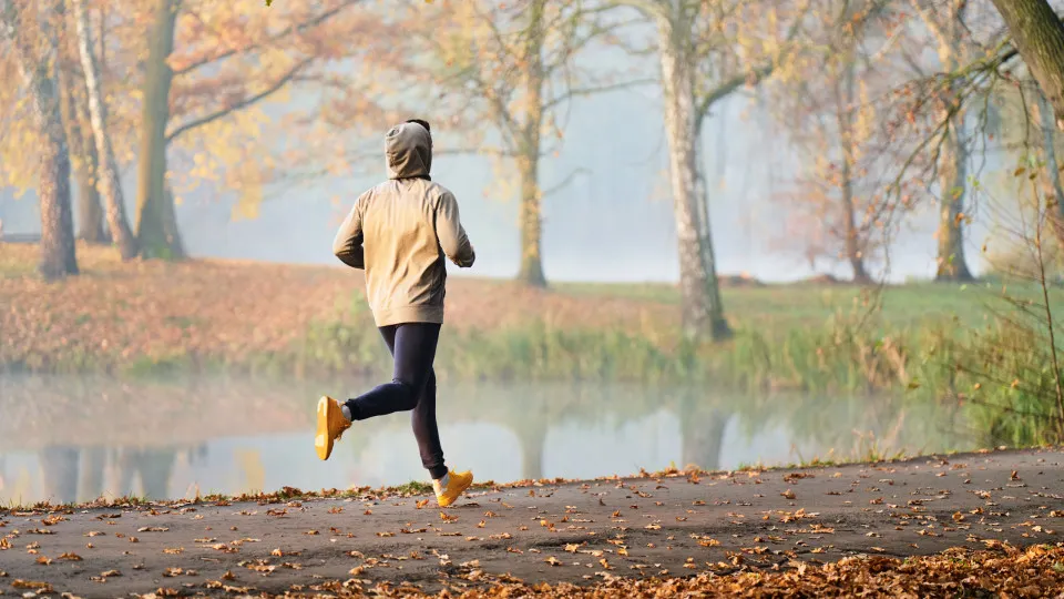 Quer baixar o colesterol? Há quatro exercícios que são uma grande ajuda