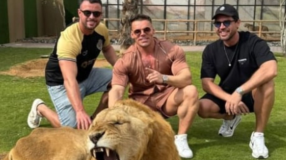Marco Costa posa com leão no Dubai: "Experiência inesquecível"