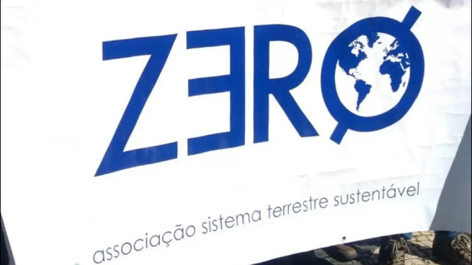 Zero apreensiva com excessiva lentidão face à urgência climática na COP29