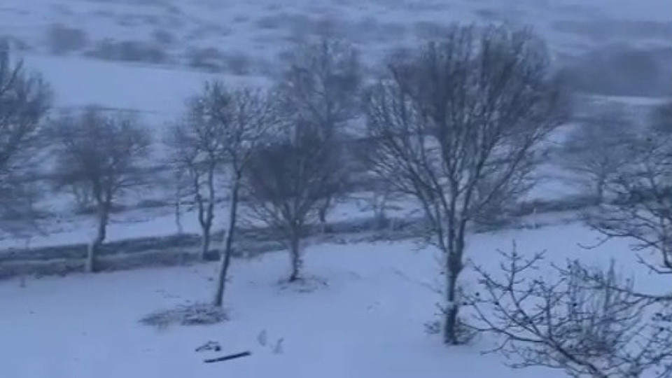 Norte do país acordou pintado de branco. Louis já trouxe neve a Portugal