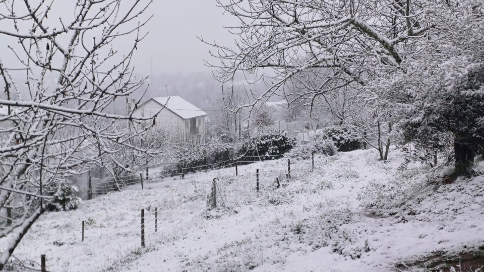 Neve intensa fecha escolas e corta estradas no Norte e Centro do país
