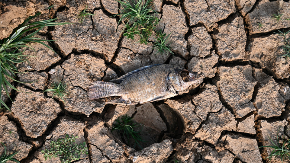 Comissão Europeia quer melhorar respostas a crises climáticas como a seca