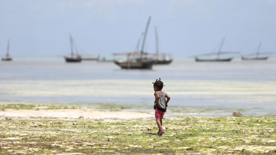 Tanzânia? Reduzir taxa de fertilidade pode promover crescimento económico