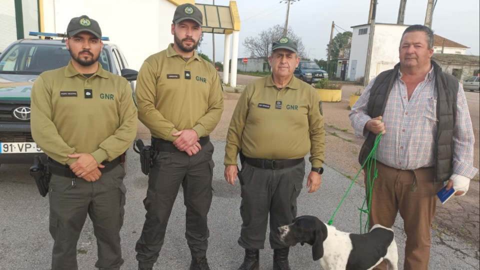 Homem traz cão "perdido" em Espanha para Portugal. GNR encontra dono