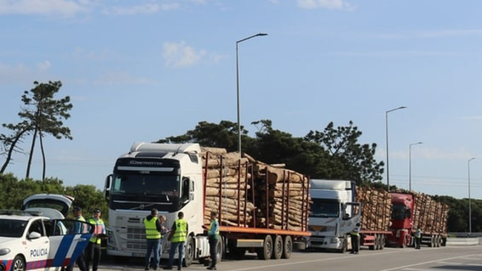 More than 800 kilos of meat seized in operation in Figueira da Foz