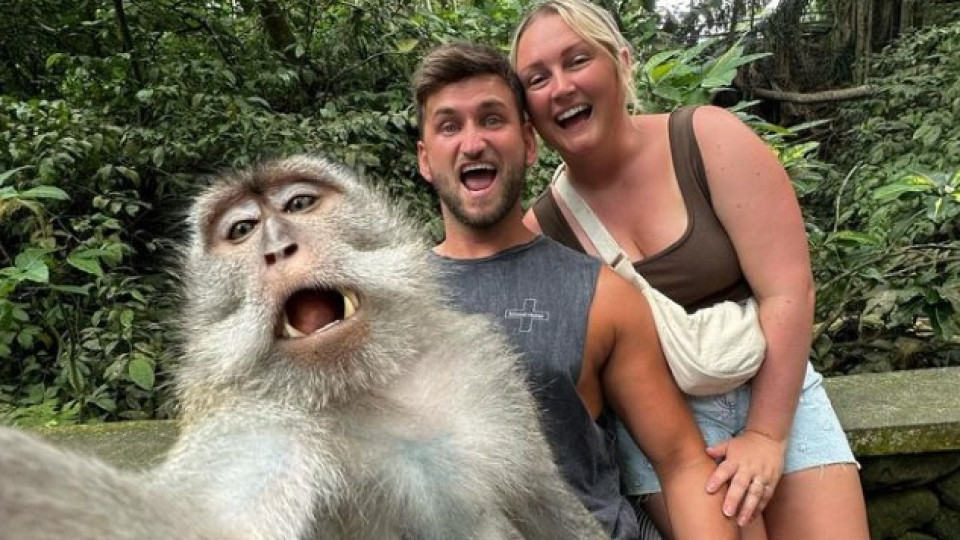 Macaco tira selfie com casal de férias em Bali. "A adorar cada segundo"