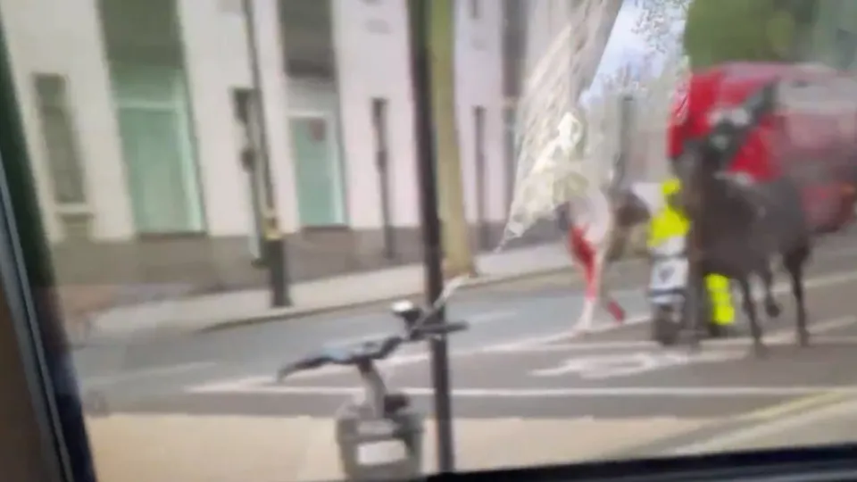 Cavalos cobertos de sangue correm soltos por Londres. Veja o vídeo