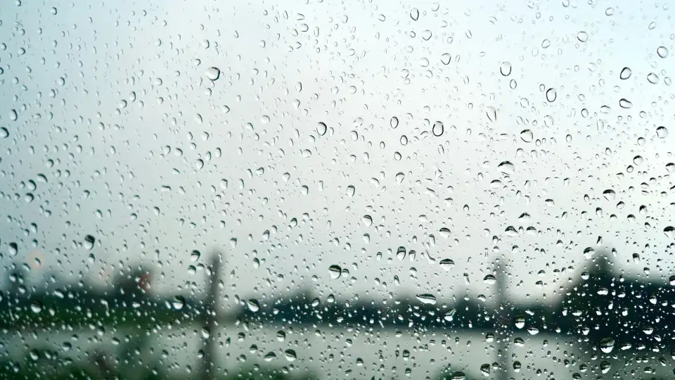 Outono chega hoje com nuvens e chuva. Mínimas descem e vão chegar aos 8ºC