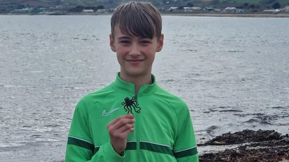 "Very rare". Boy finds Lego octopus that washed up on beach