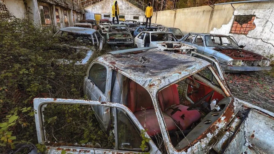 Car collection found abandoned on a cattle farm in Portugal