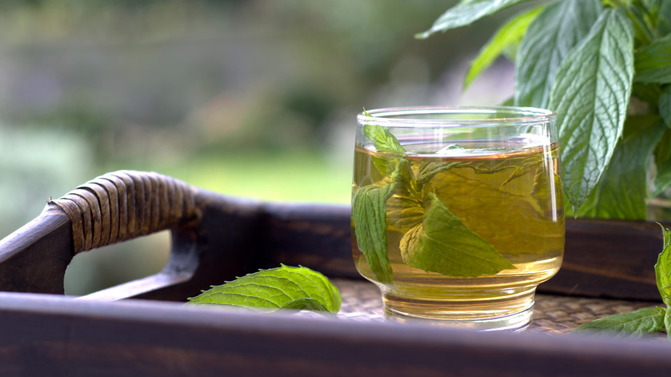 Chá de hortelã refresca o hálito (e não só). Eis os benefícios