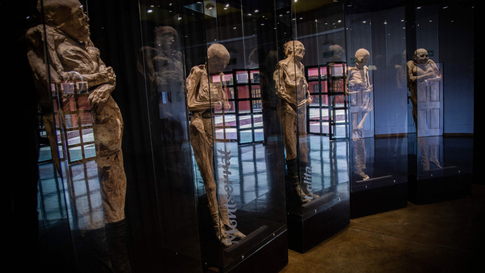 Instituição acusa museu de não saber manusear múmias após queda de braço