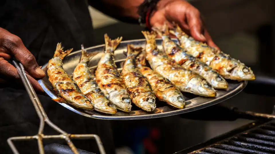 Junho é mês de arraiais e... sardinhas! Mas como saber se são frescas?