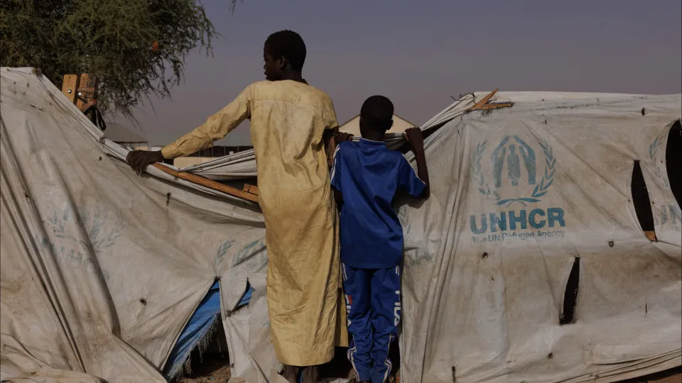 acnur, refugiados