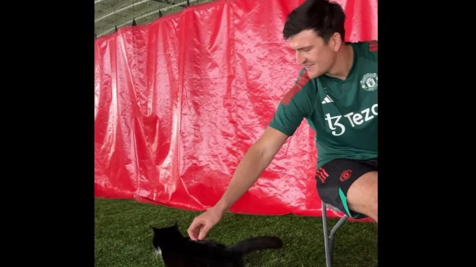 Maguire estava no meio de entrevista quando foi interrompido... por gato