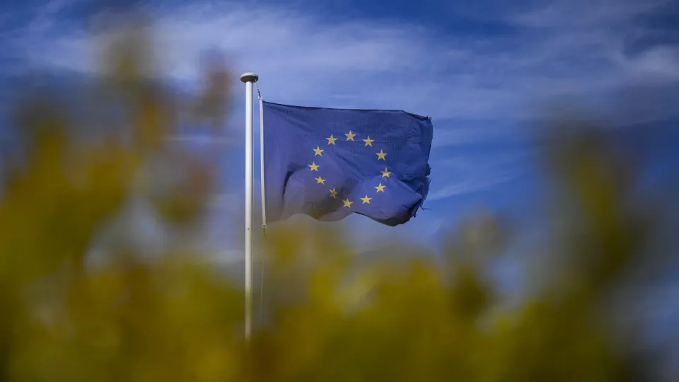 Eleições Europeias ; Portugal ; União Europeia