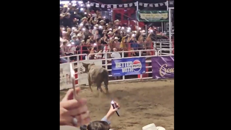 Touro salta a vedação da arena, causa caos e faz três feridos. O momento