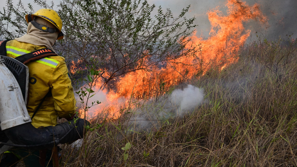 A2 condicionada após incêndio em carro. Fogo alastrou para zona de mato